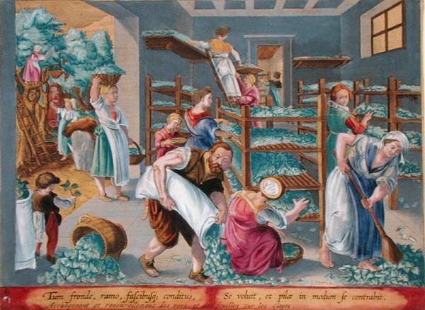 Femmes alignant des étagères avec des feuilles de mûrier pour les vers à soie, planche 5 de 