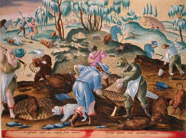 Creuser et capturer des porcs-épics, planche 54 de 