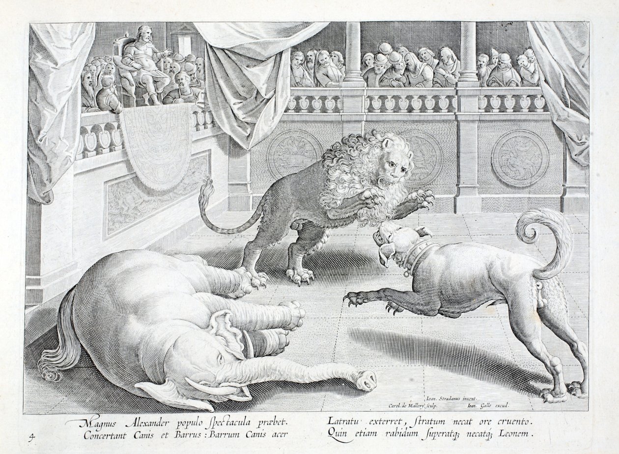 Alexandre le Grand met en scène un spectacle, un combat de lion, chien et éléphant, illustration de 