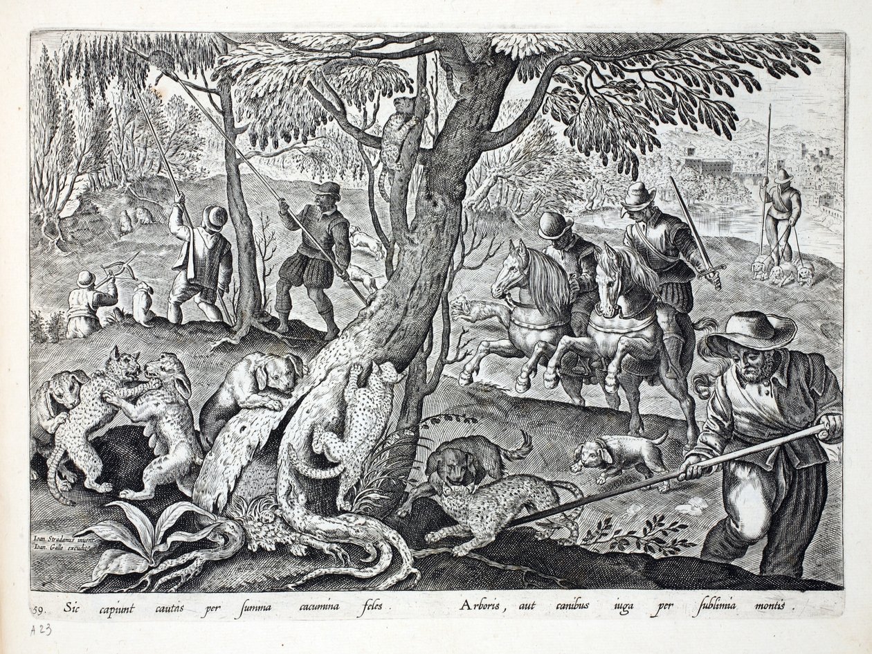 Chasse aux chats avec des chiens, illustration de 