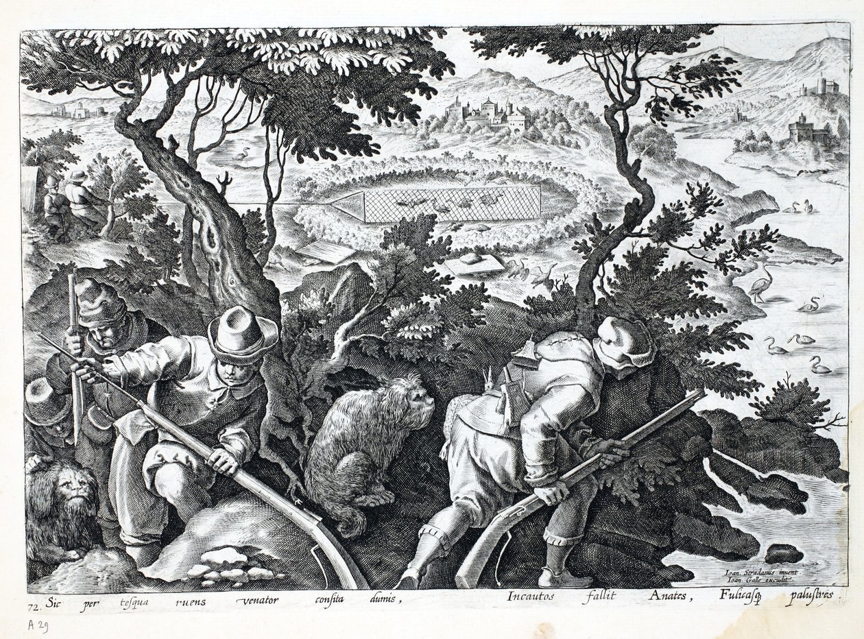 Chasse aux canards, illustration de 