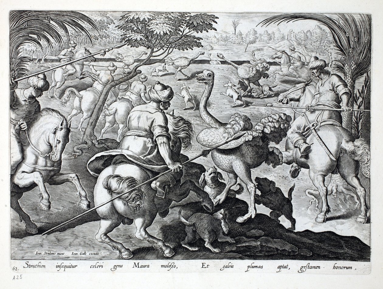 Maures à cheval chassant des autruches, planche 62, illustration de 