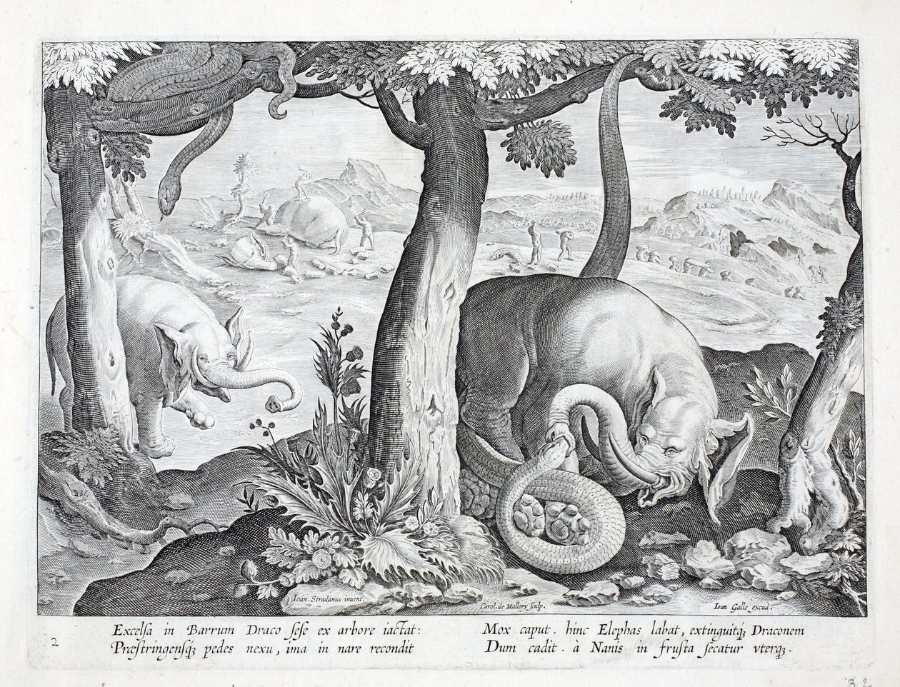 Serpent utilisé dans la chasse à l
