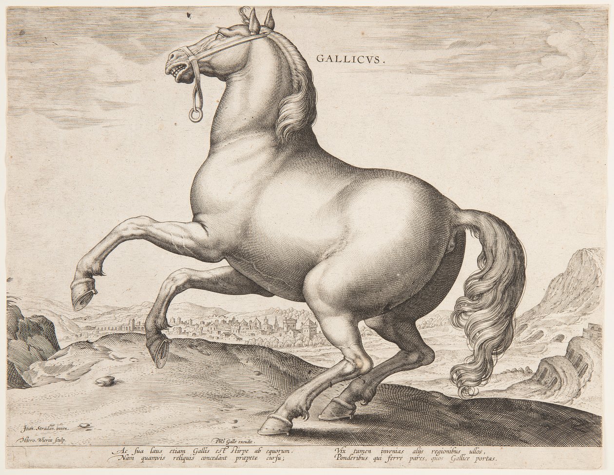 Un cheval français, du premier ensemble de "Equile Joannis Austriaci" - Jan van der Straet, called Stradanus