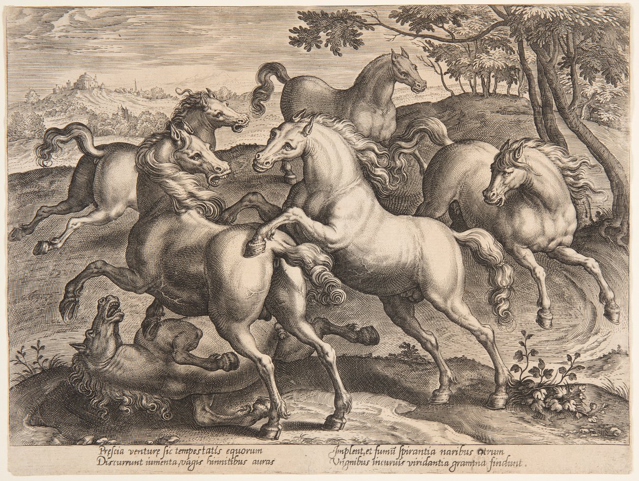 Chevaux combattants, du quatrième ensemble de "Equile Joannis Austriaci" - Jan van der Straet, called Stradanus