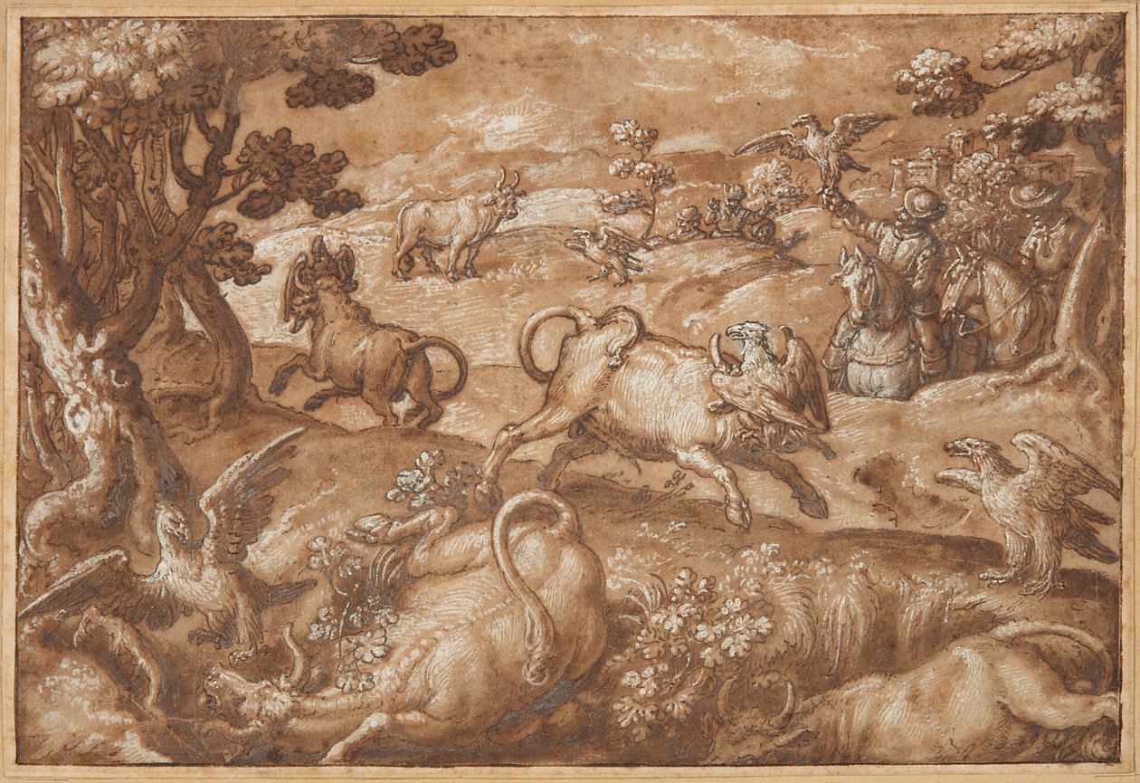 Hommes chassant des taureaux avec des aigles - Jan van der Straet, called Stradanus