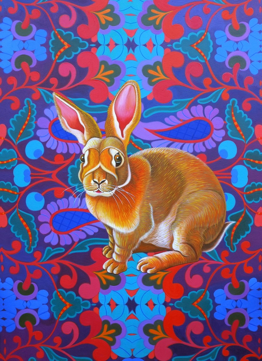 Lapin, 2014 - Jane Tattersfield