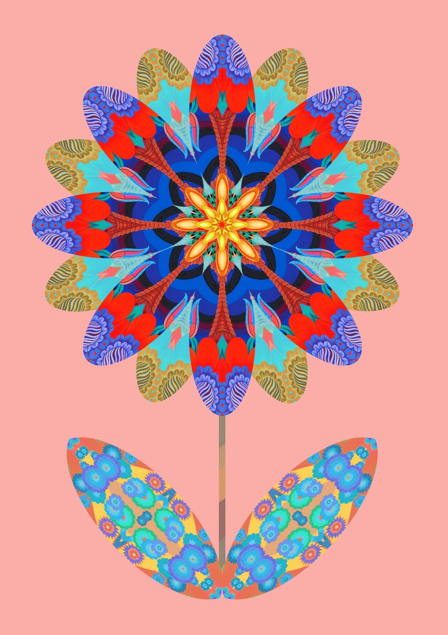 Découpe de fleur sur rose pâle, 2020 - Jane Tattersfield