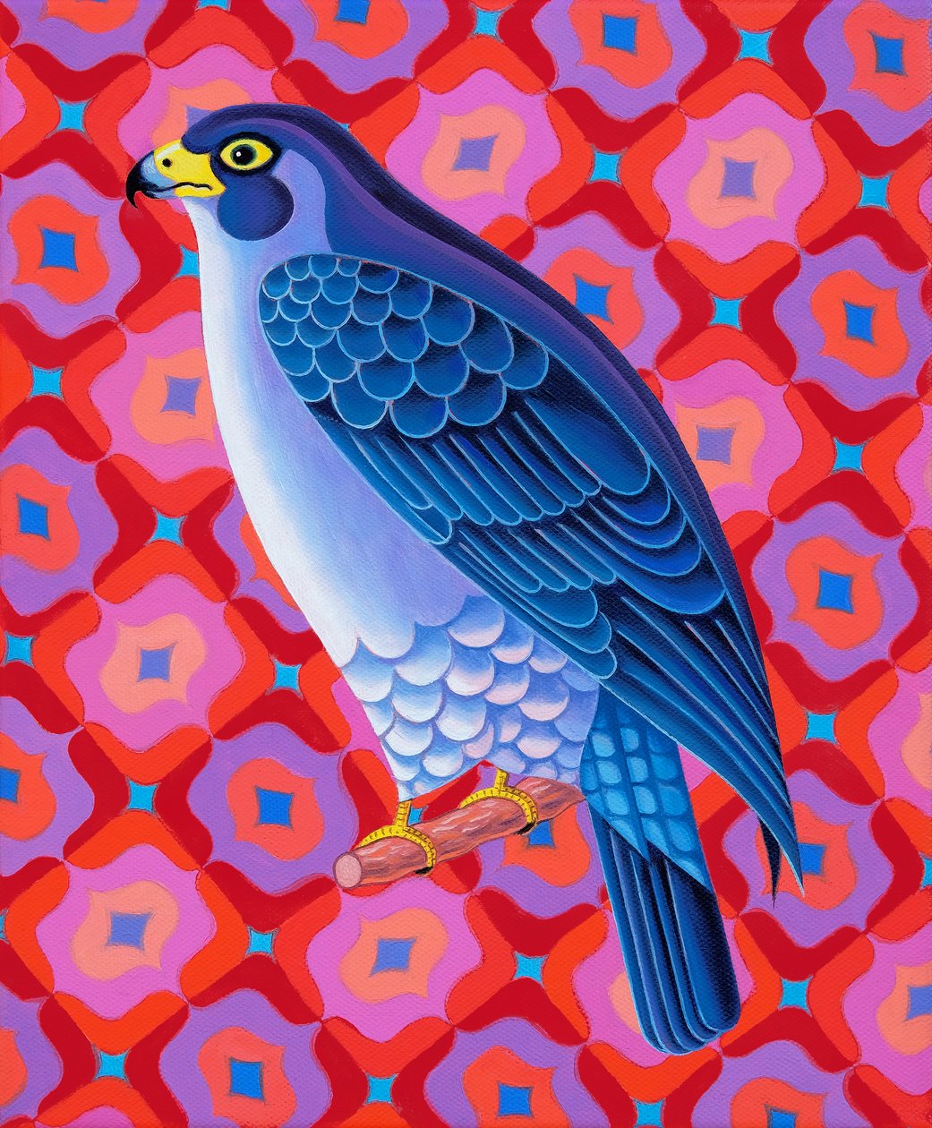 Faucon pèlerin - Jane Tattersfield