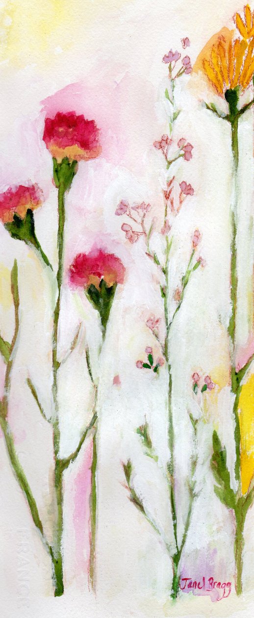 Fleurs de Sheeley
