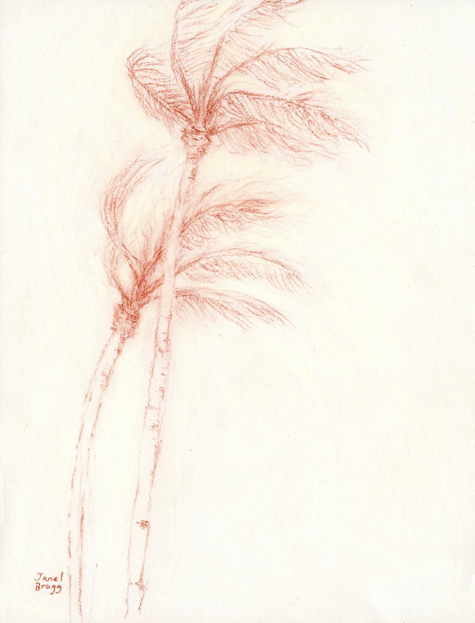 Il était une fois des vacances tropicales Palmiers, c.2019 - Janel Bragg