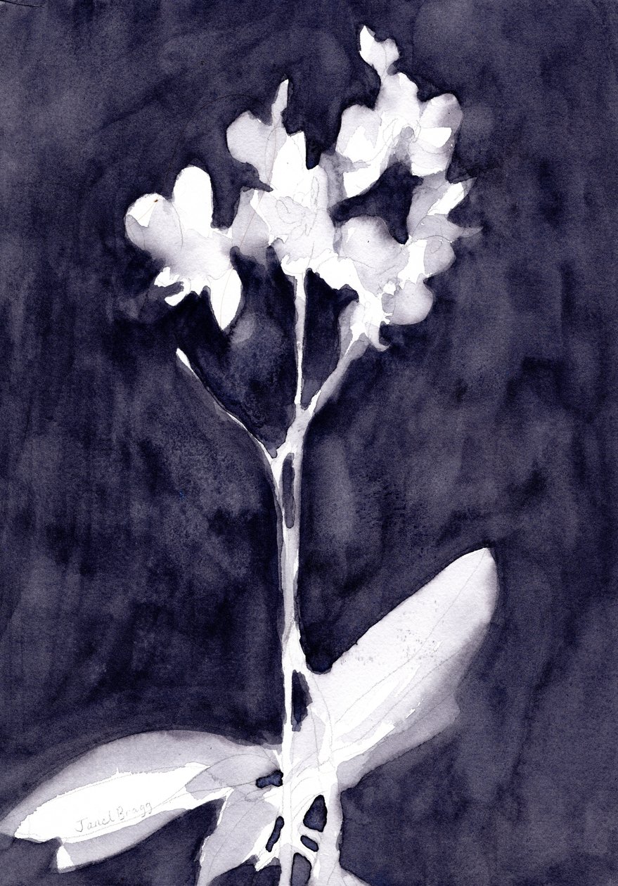 Impression d