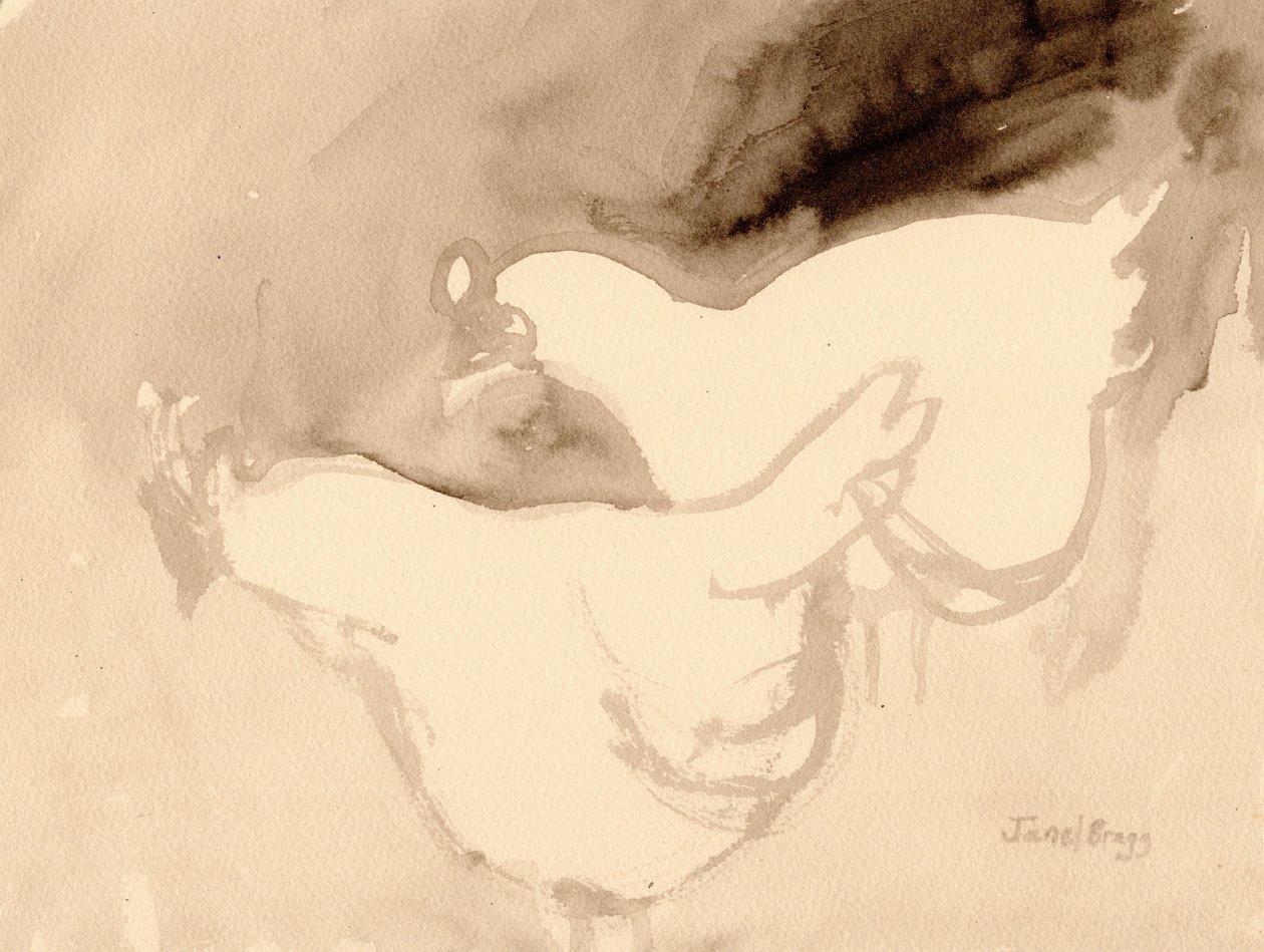 Poules de la ferme Schuh, c.2019 - Janel Bragg