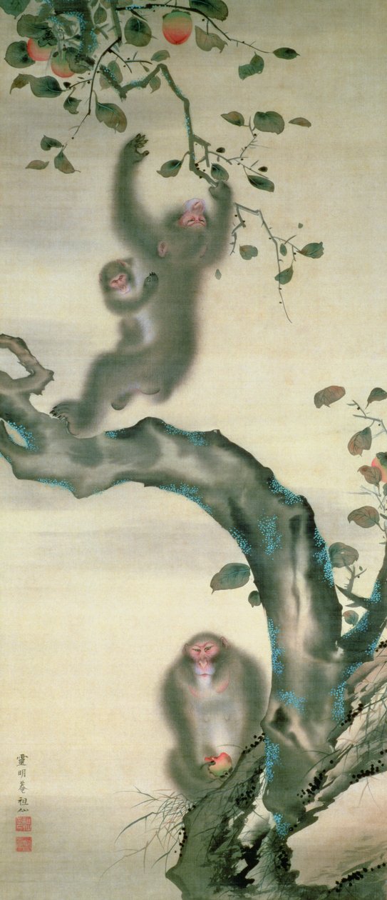 Famille de singes dans un arbre - Japanese School