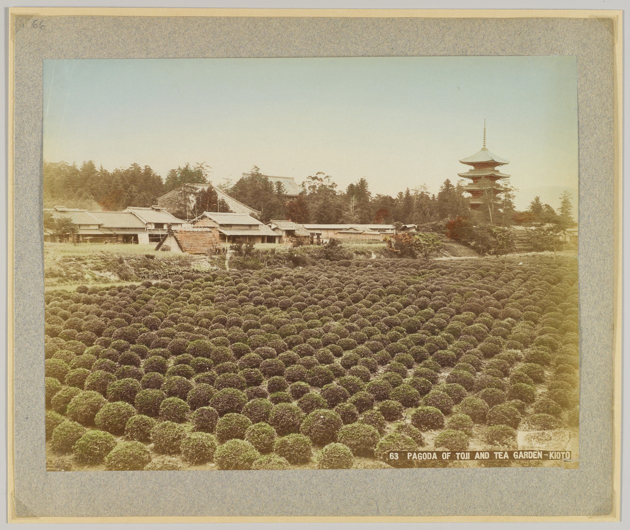 Pagode de Toji et jardin de thé, Kyoto, Japon - Japanese Photographer