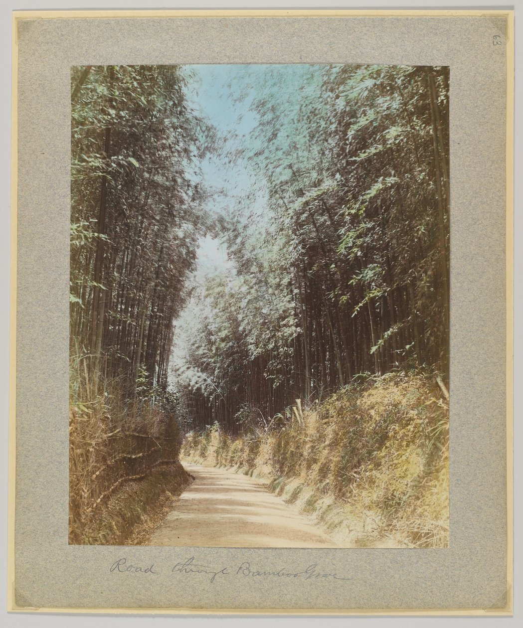 Route à travers une forêt de bambous, Japon - Japanese Photographer