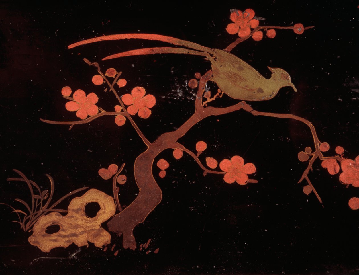 Motifs d