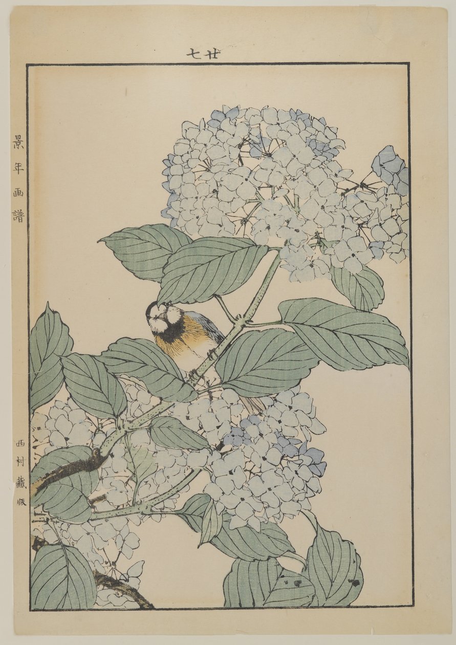 Oiseau avec hortensia, période Meiji, c.1868-1912 - Japanese School