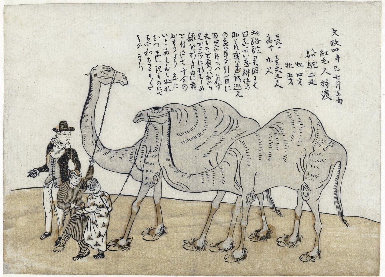 Chameau avec des guides, pub. 1821 - Japanese School