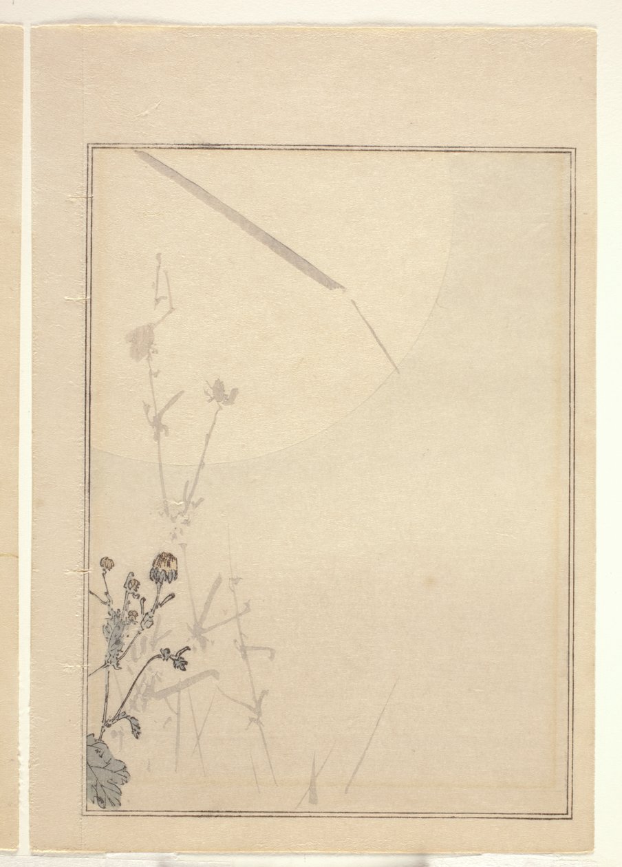 Chrysanthèmes - Japanese School