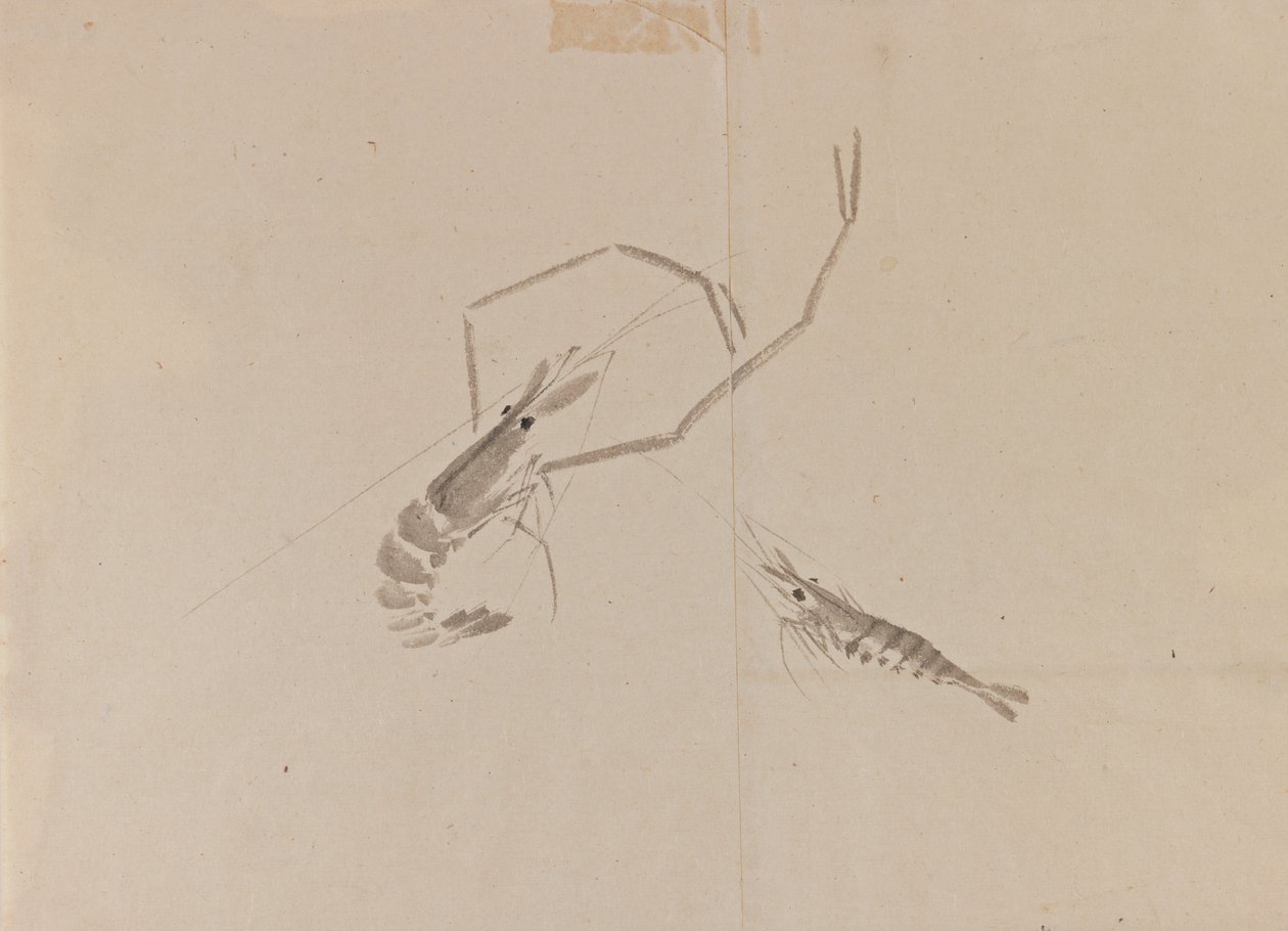 Dessin de deux écrevisses - Japanese School