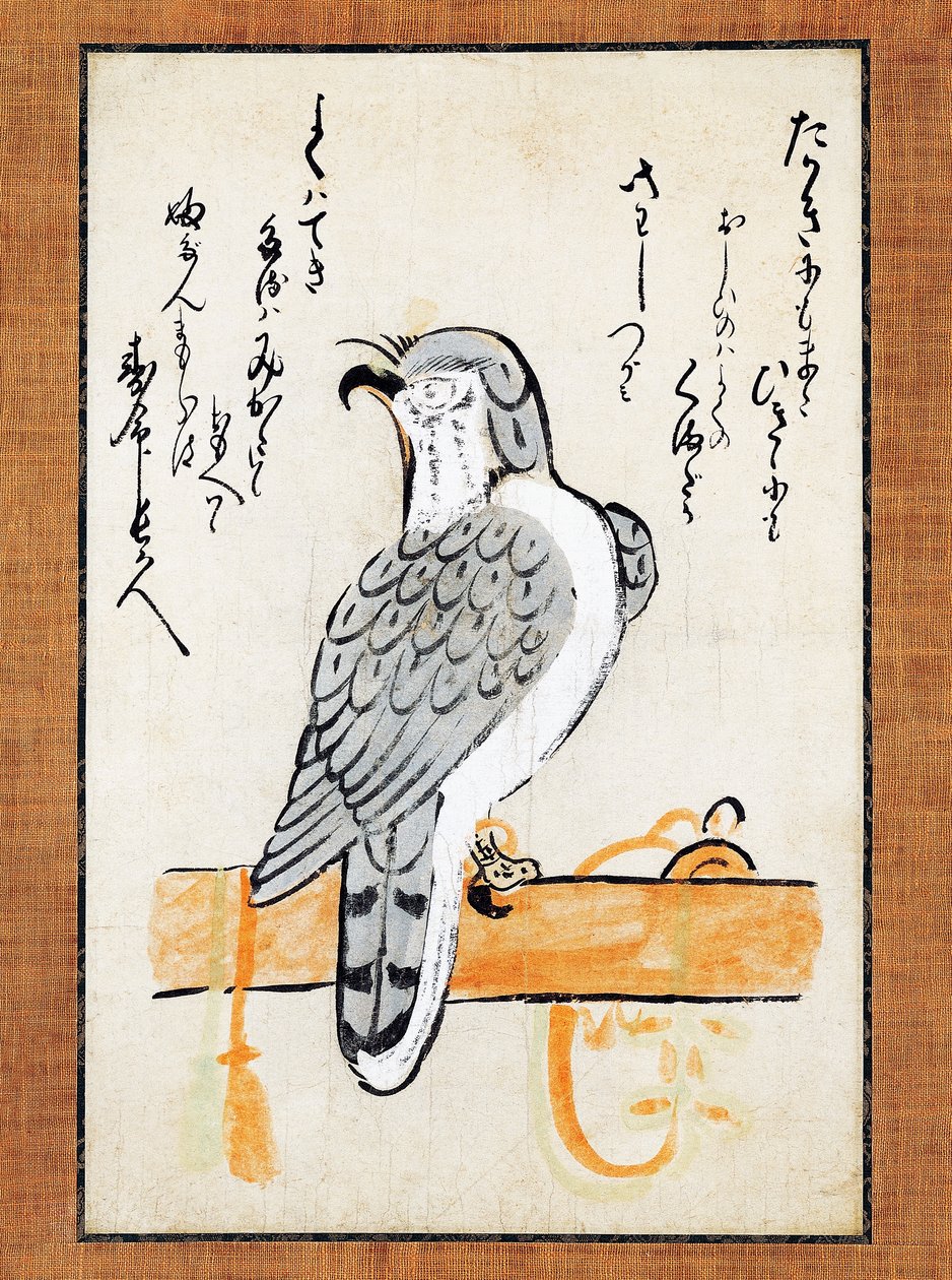 Faucon attaché à son perchoir, illustration sur rouleau vertical, fin du 19e siècle, encre et couleur sur papier, 43x2,5 cm, Civilisation japonaise, période Meiji - Japanese School