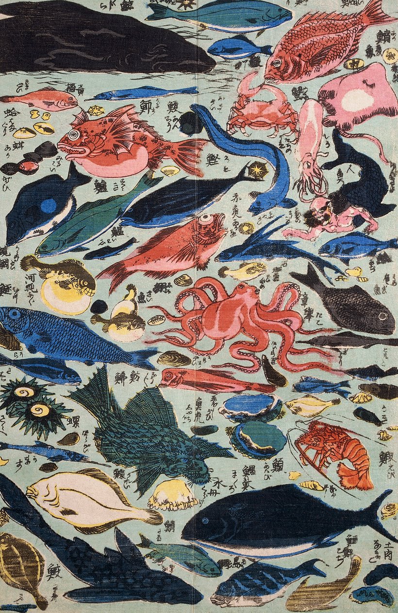 Poissons frais, mollusques et crustacés - Japanese School