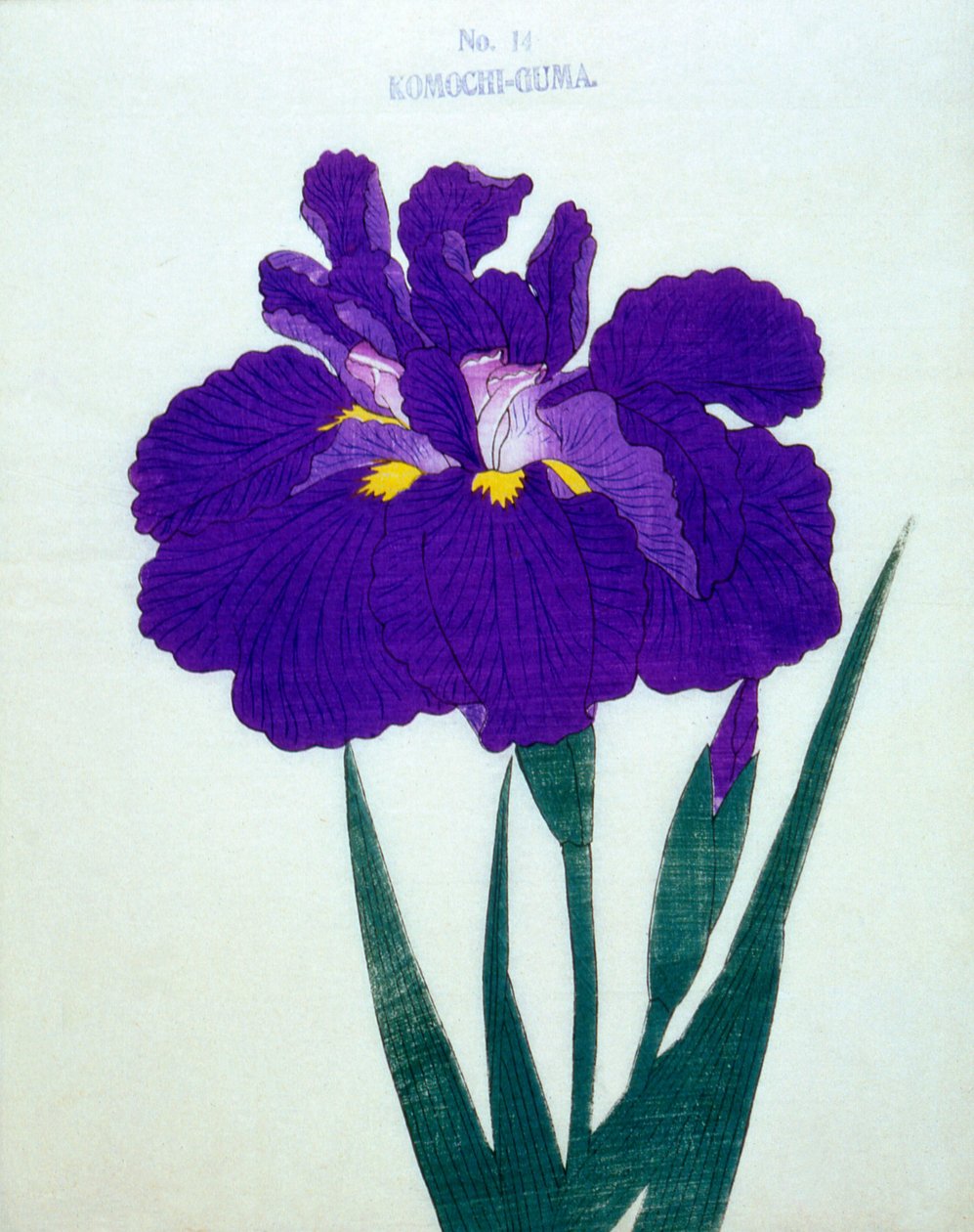 Komochi-Guma no.14, 1898 - Japanese School