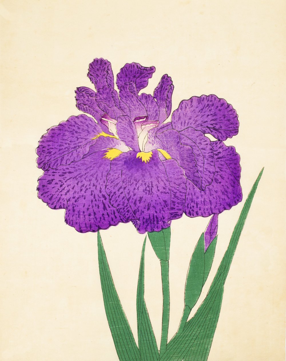 Nyo-Nishiki, no.11, 1898 - Japanese School
