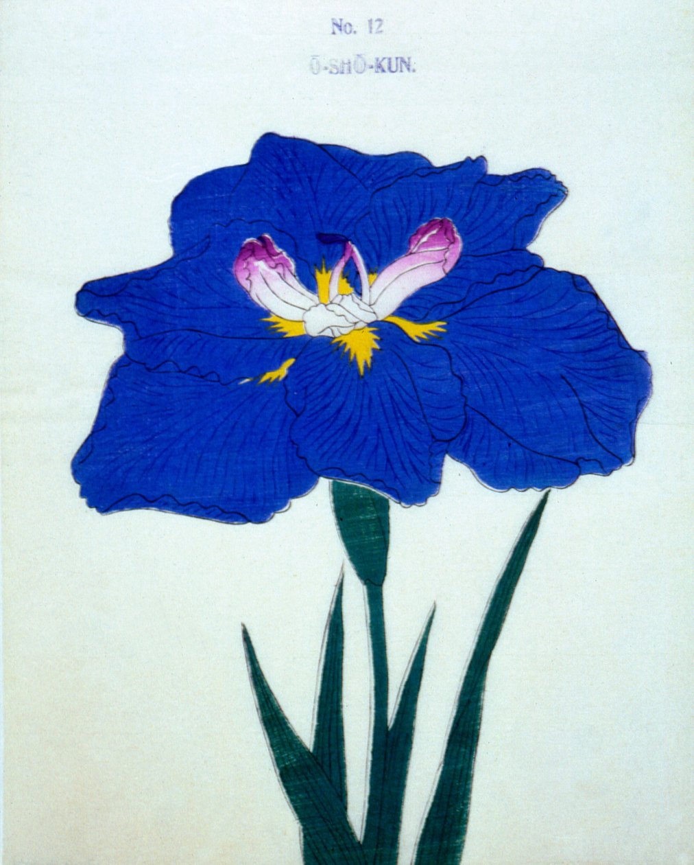 O-Sho-Kun, no.12, 1898 - Japanese School