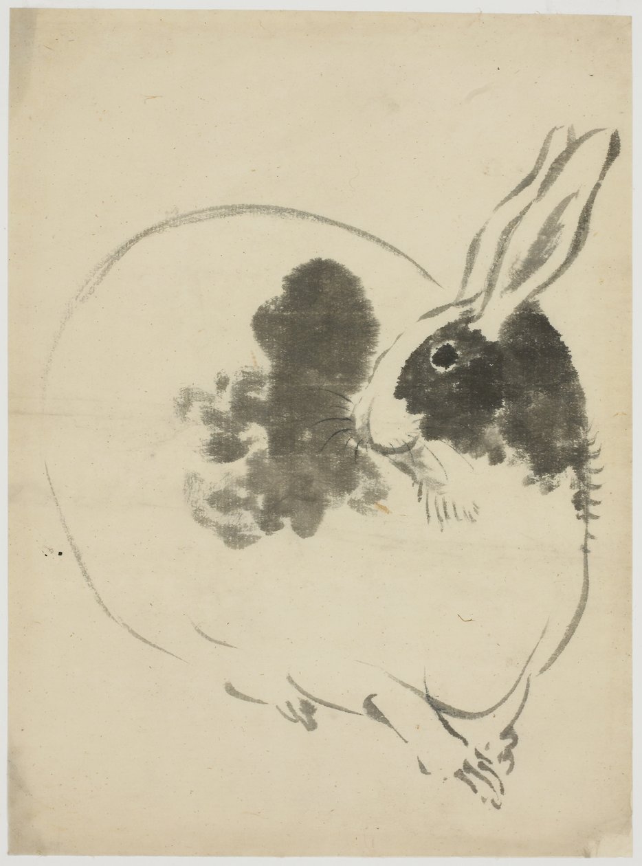 Lapin tacheté - Japanese School
