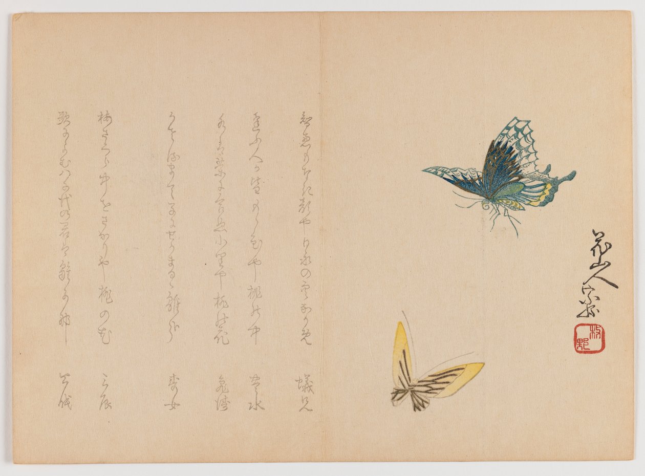 Deux papillons, vers 1860 - Japanese School