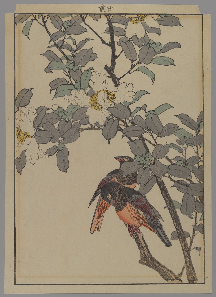 Deux oiseaux avec des fleurs blanches, période Meiji, 1892 - Japanese School
