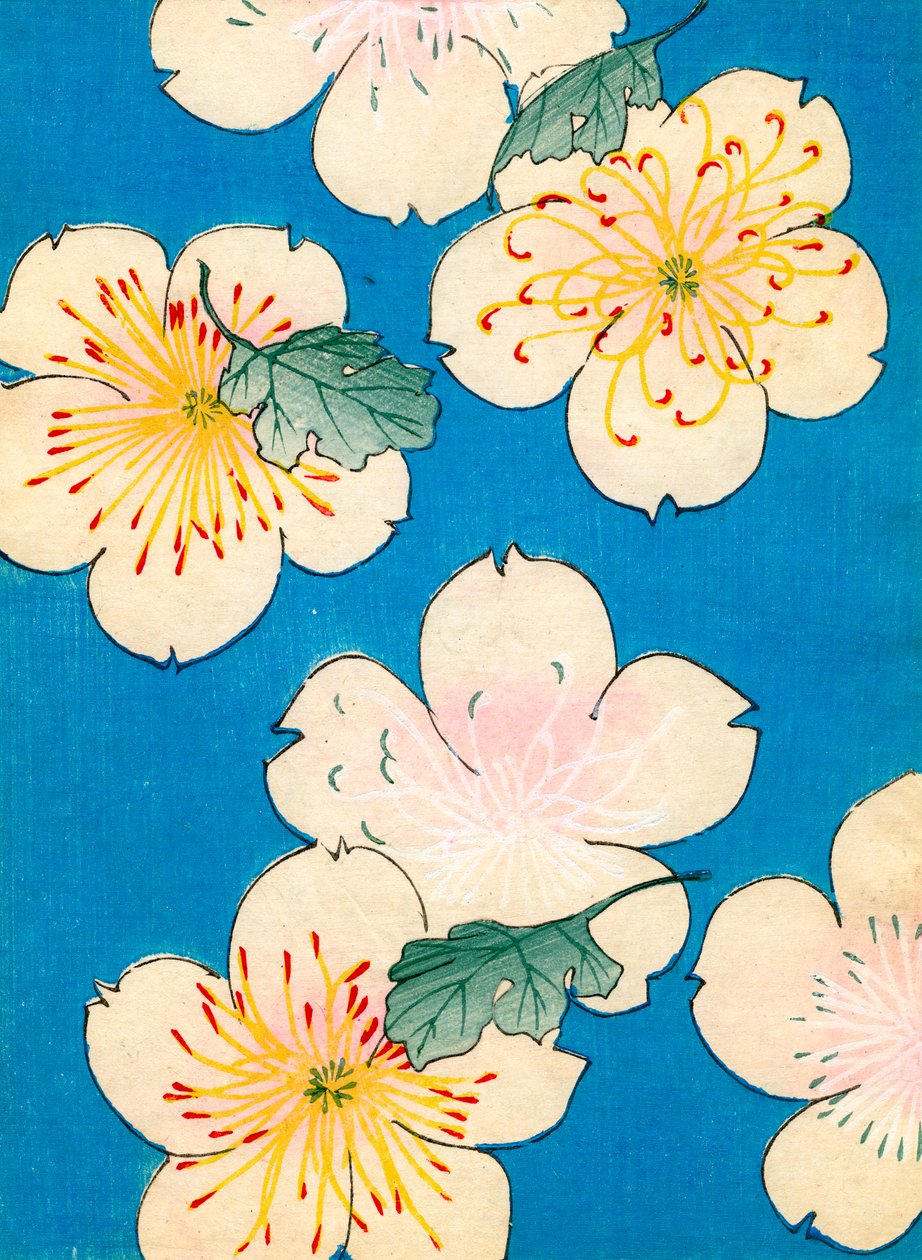 Estampe en Couleur de Fleurs de Cornouiller - Japanese School