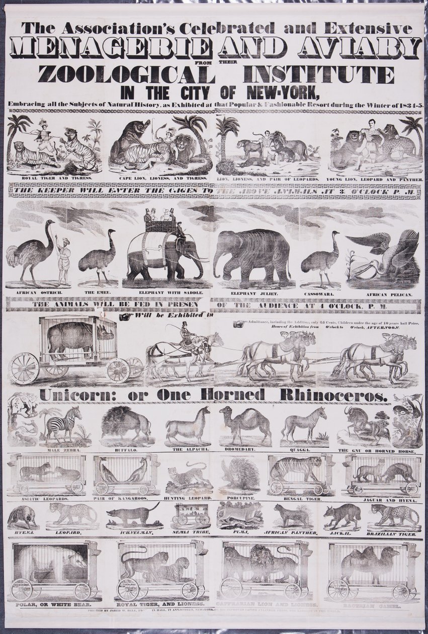 La ménagerie et l