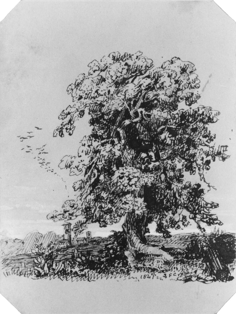 Paysage avec un arbre et un village au loin (de l