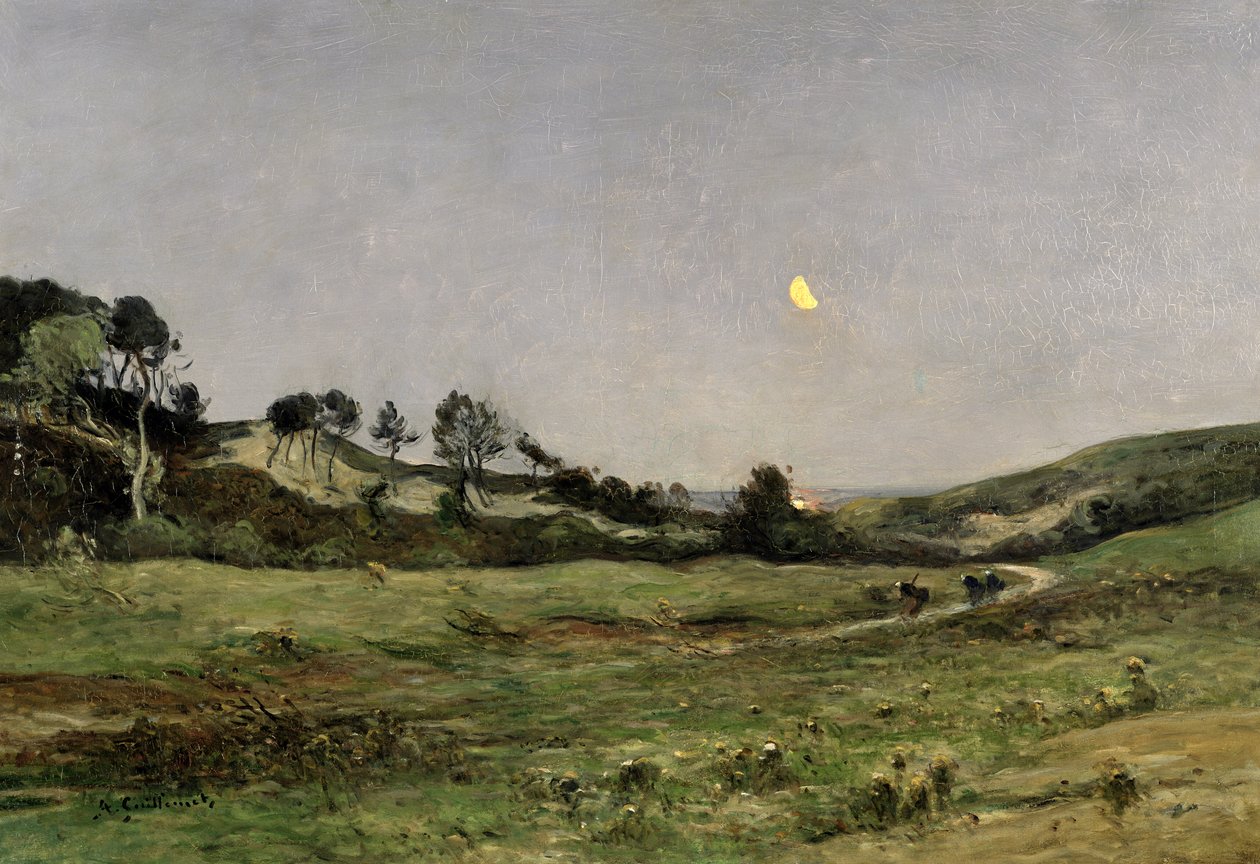 Soirée sur les dunes d