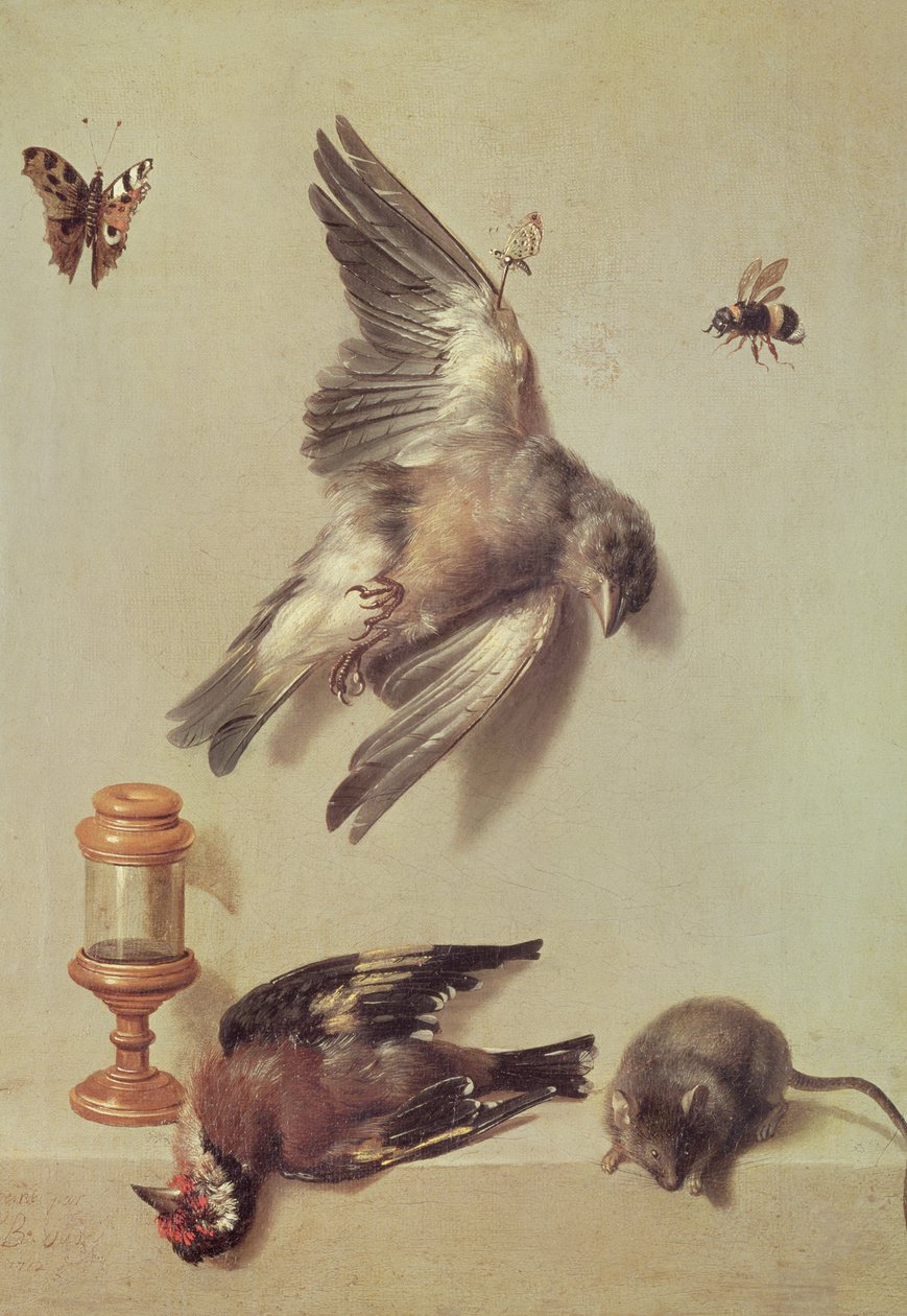 Nature morte d