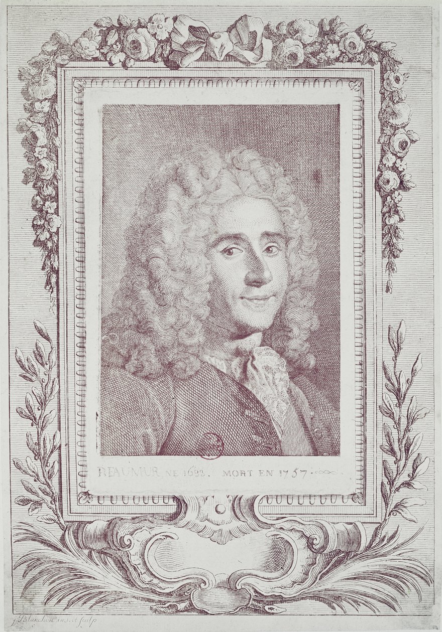 René Antoine Ferchault de Réaumur (1683-1757) - Jean Guillaume Blanchon