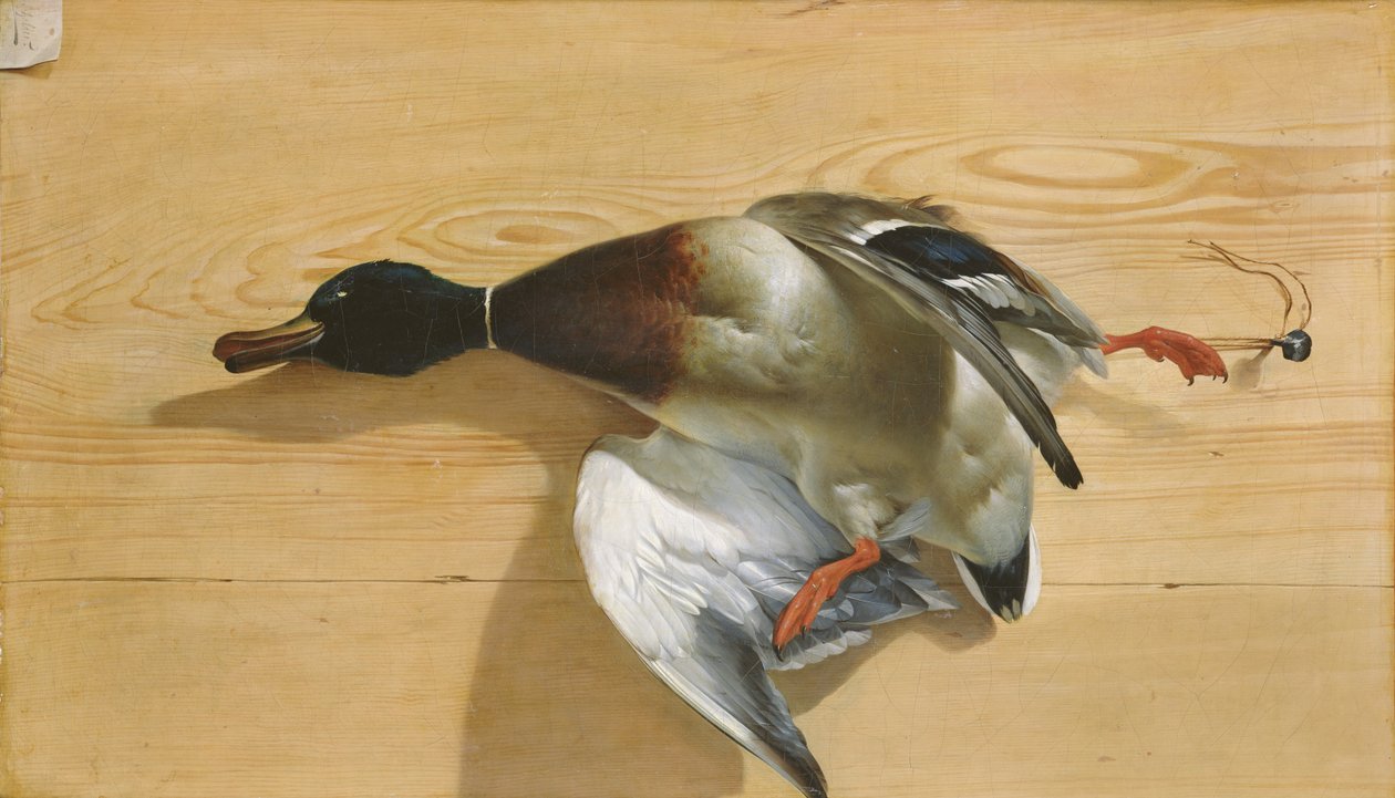 Un canard sur une planche de pin, 1753 - Jean Jacques Bachelier