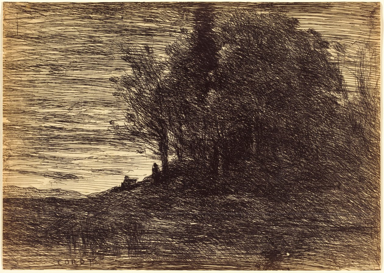 Le Bois de l