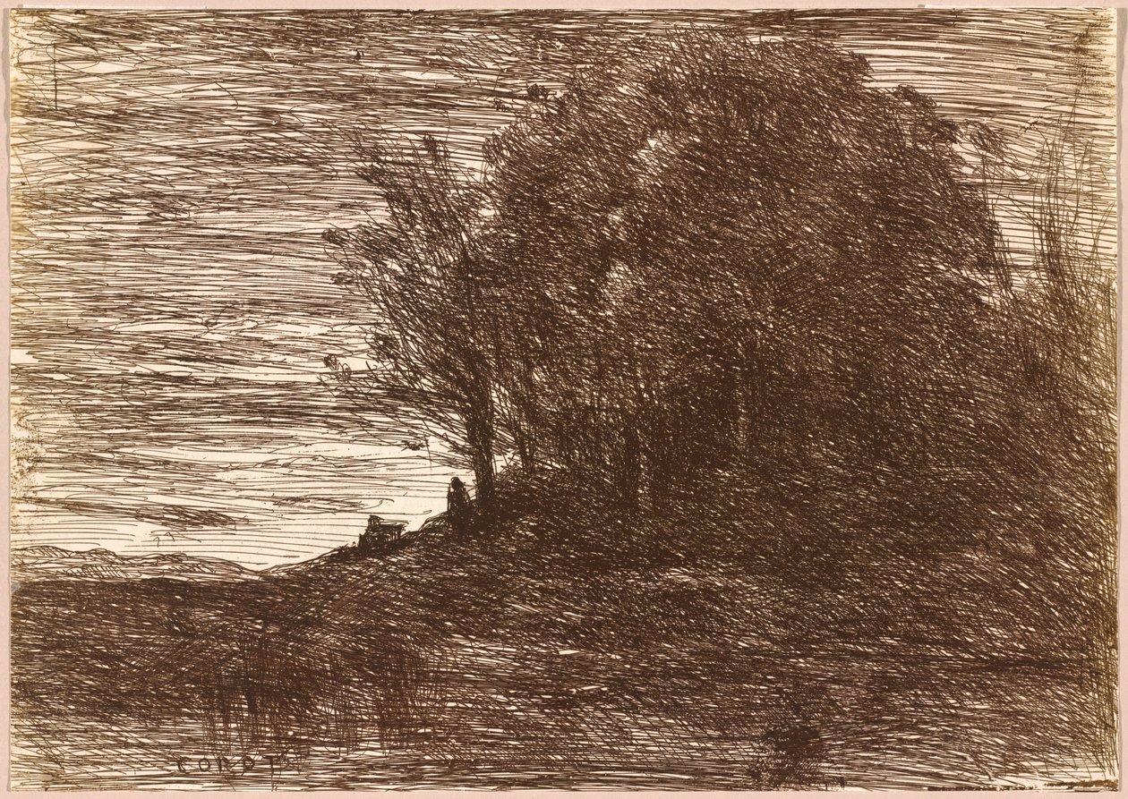 Le Bois de l