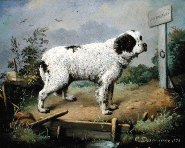 Un Terre-Neuve sur un talus - Jean Baptiste Desgrange