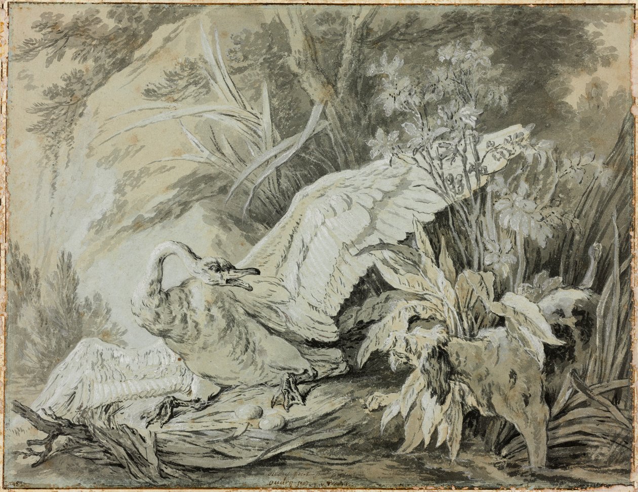 Un cygne sauvage attaqué par un chien - Jean-Baptiste Oudry