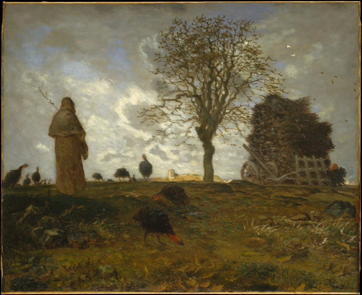 Paysage d