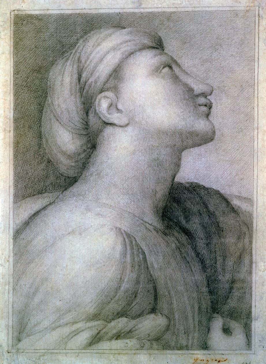 Profil du visage - Jean Auguste Dominique Ingres