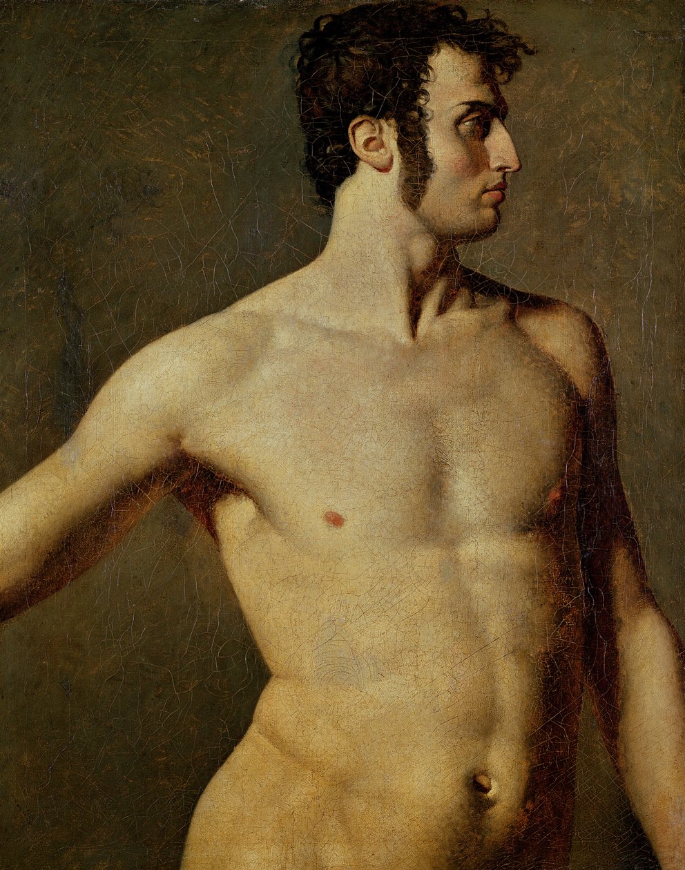Torso masculin - Jean Auguste Dominique Ingres