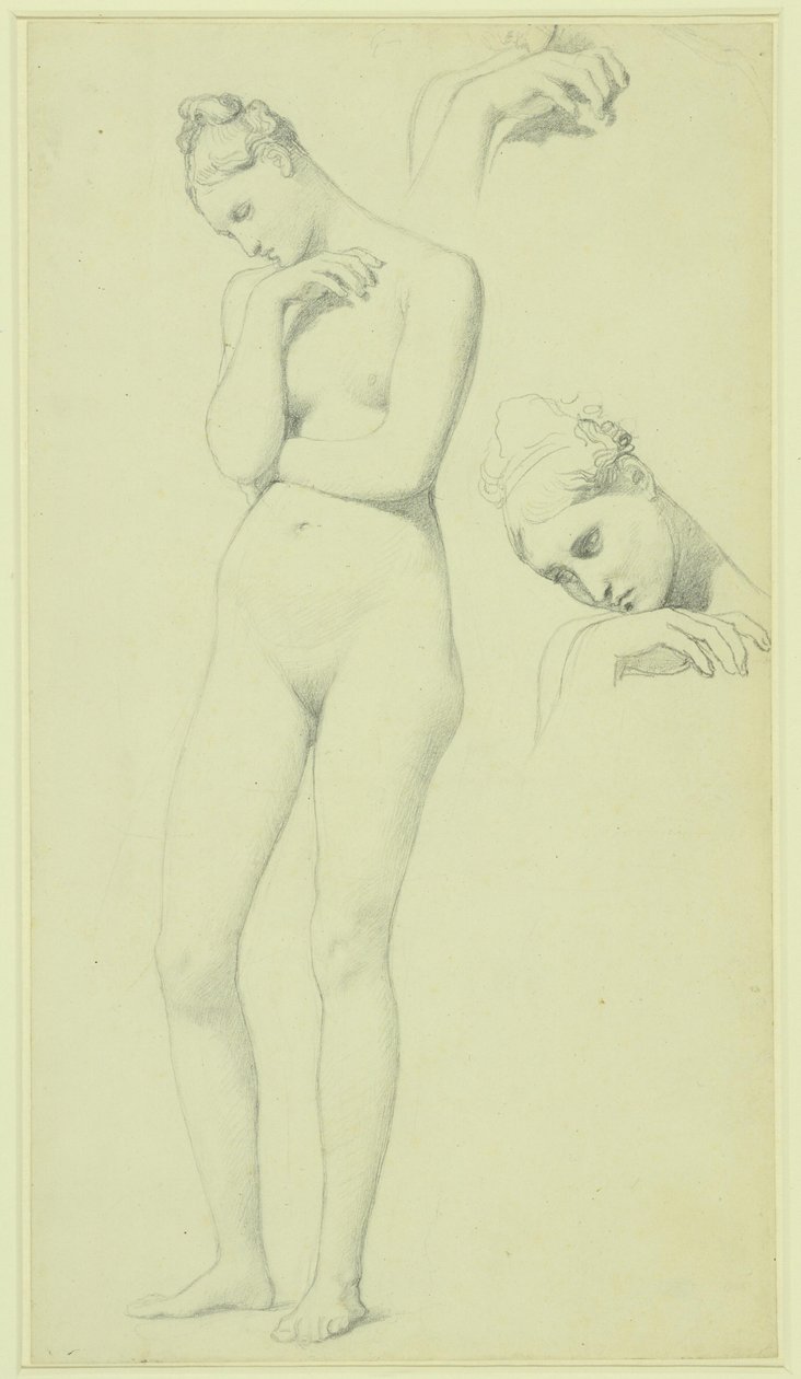 Études pour la figure de Stratonice, vers 1834-40 (crayon sur papier) - Jean Auguste Dominique Ingres
