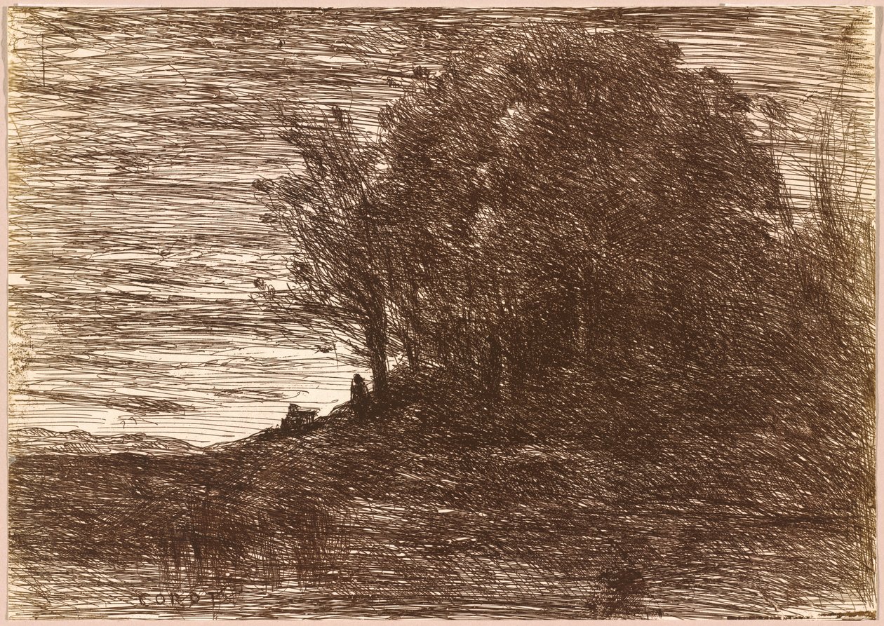 Le Bois de l