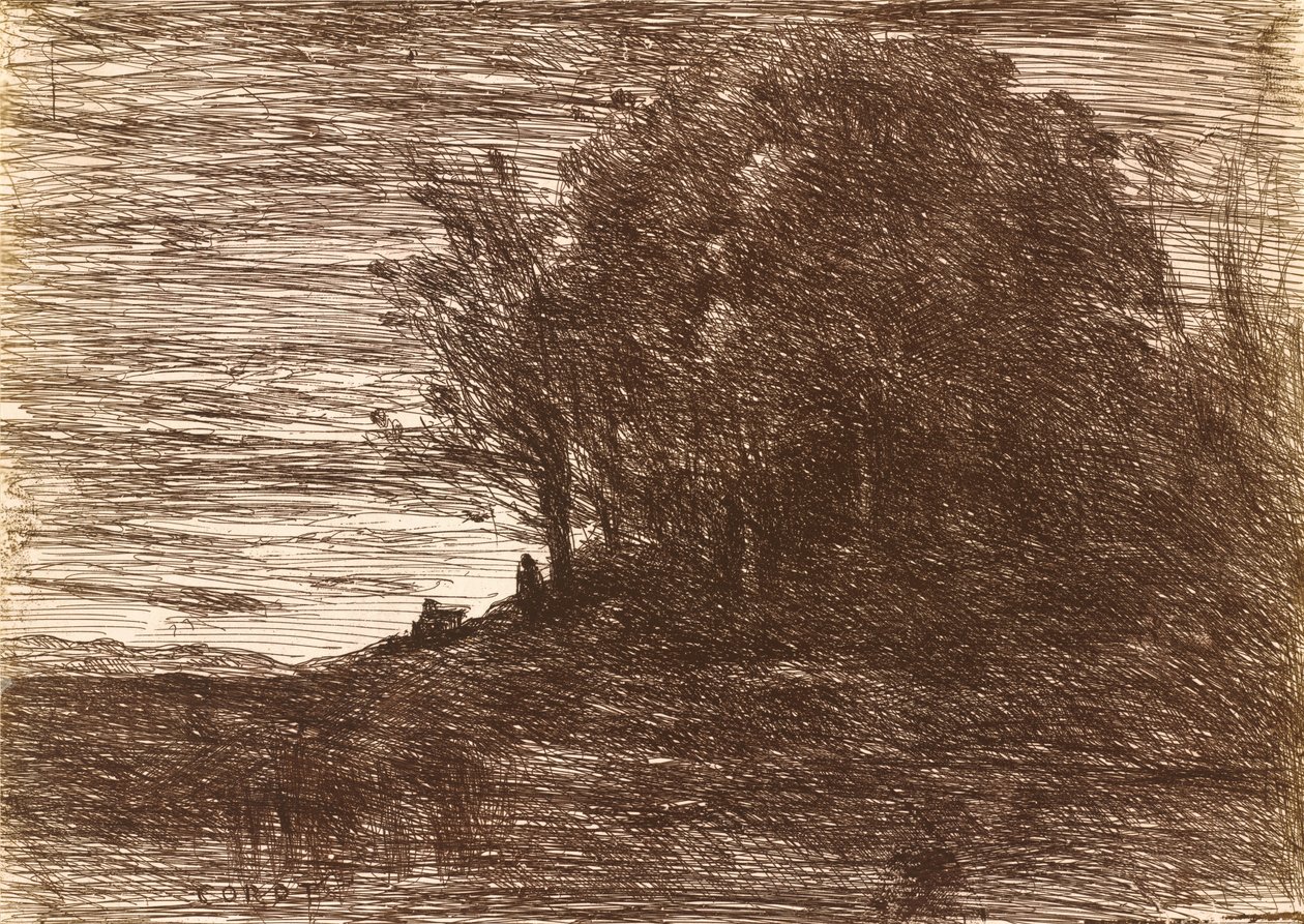 Les bois de l